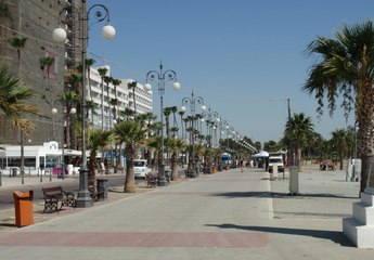 Пальмовая набережная