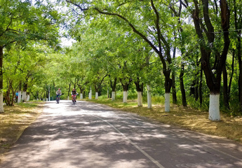 Трасса здоровья в Одессе