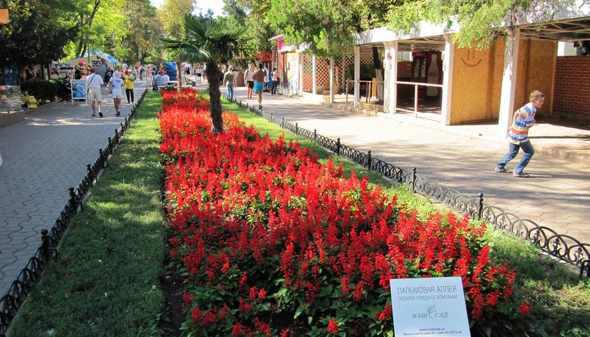 Пальмовая аллея Одессы